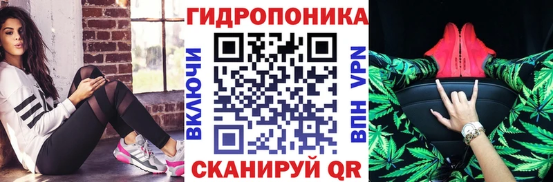 Купить где  Павлово  Бошки марихуана OG Kush 
